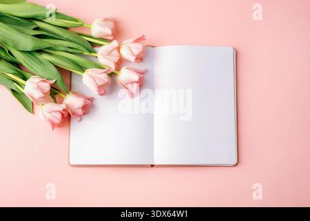 Pinkfarbene Tulpen und offenes leeres Notizbuch auf pastellfarbenem Hintergrund mit Kopierraum für Frühlingsnachrichten. Draufsicht, flach, Modell. Stockfoto