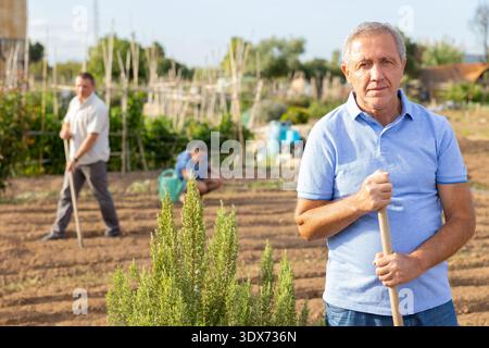 Positiver Seniorenmann, der während der Arbeitspause im Gemüsegarten steht Stockfoto