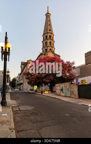 Ein Blick auf eine Kirche mit einem hohen Turm, teilweise von einem großen Baum mit rosa Blüten verdeckt. Die Straße ist gesäumt von Gebäuden und Straßenlaternen Stockfoto