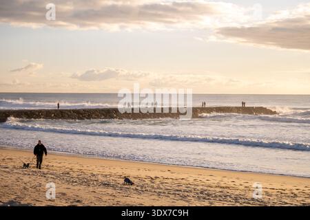 Caparica Portugal 24. Dezember 2025. Der Mann läuft mit dem Hund am Sandstrand entlang, während die Leute auf Steinbruchwasser in der Nähe der Meereswellen stehen. Stockfoto
