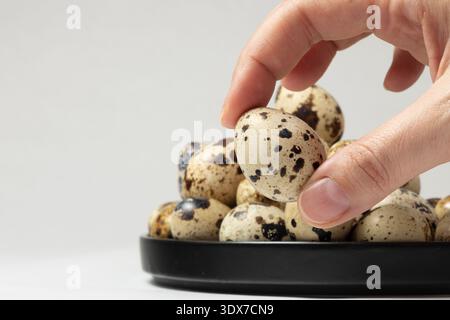 Eine Hand greift nach einem Wachtelei aus einem Teller, der mit mehreren anderen Eiern in einer Küche gefüllt ist. Diese Szene zeigt die sorgfältige Auswahl der Eier. Stockfoto