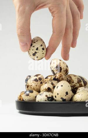 Eine Hand greift nach einem Wachtelei zwischen einer Gruppe gesprenkelter Eier auf einer schwarzen Platte. Die Szene zeigt eine Nahaufnahme der ordentlich angeordneten Eier. Stockfoto