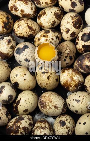 Wachteleier werden zusammen in einem Korb angeordnet. Ein Ei ist aufgebrochen und zeigt ein hellgelbes Eigelb. Stockfoto