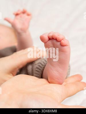 Vertikale Nahaufnahme von Neugeborenen-Füßen in sanfter Erwachsenenhand. Weiche Beleuchtung, warme Töne und ein sauberes, minimales Design machen dieses Bild ideal für Stockfoto