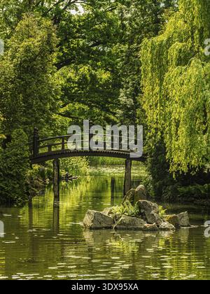Eine ruhige Szene mit einer Holzbrücke, die sich über einen friedlichen Teich erstreckt, umgeben von üppiger grüner Vegetation und Efeu-bedeckten Bäumen, die ein beruhigendes A schaffen Stockfoto