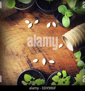 Hintergrund des Gartenkonzepts mit Keimling, Gießkanne und Töpfen. Draufsicht Stockfoto
