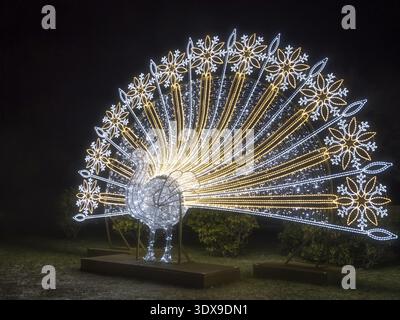 Ein leuchtendes Display mit einem majestätischen Pfau, beleuchtet mit leuchtenden LED-Lampen, sorgt für ein faszinierendes nächtliches Ambiente Stockfoto