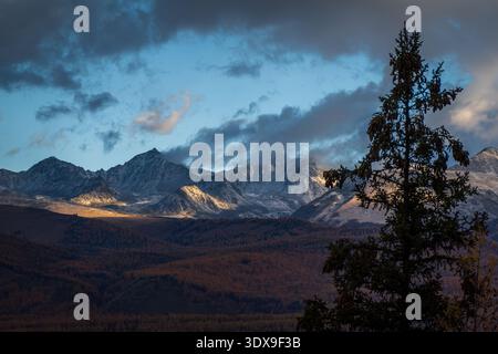 Wunderschöne schneebedeckte Bergkette mit einsamer Silhouette von Kiefern während des dramatischen Sonnenuntergangs Stockfoto