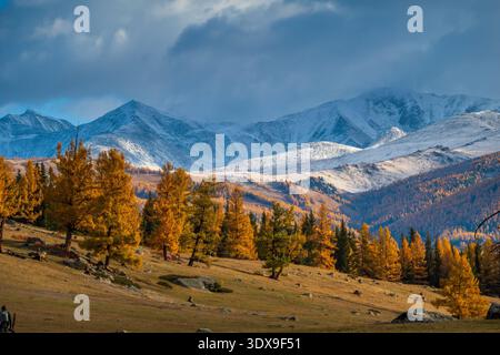 Malerischer Blick auf schneebedeckte Berge, umgeben von lebhaftem Herbstlaub in einer abgelegenen Landschaft. Die nebelige Atmosphäre verstärkt die natürliche Schönheit und Wildnis dieses Hochlands. Stockfoto