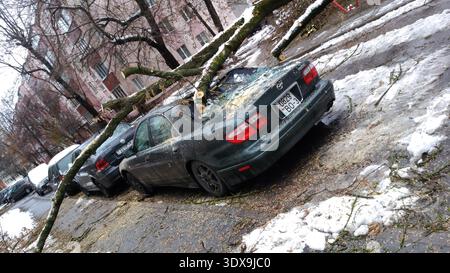 Die Hintergründe der Architektur. Ein Baum, der auf ein Auto fiel. Stockfoto