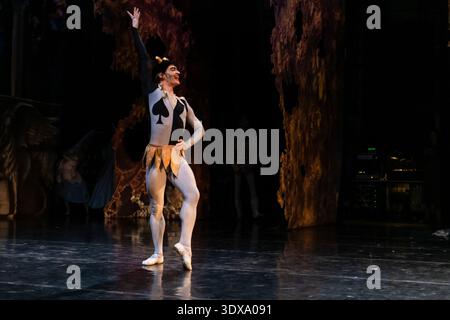Klassische Balletttänzerin tritt als Narr auf der Bühne auf. Stockfoto