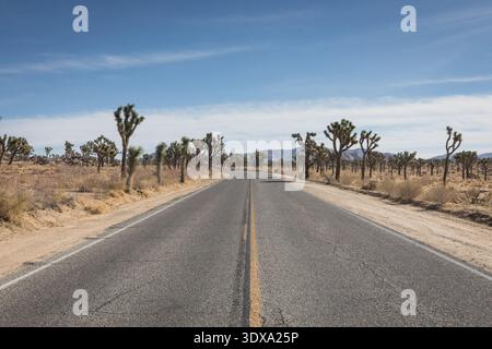 Blick auf eine Straße im Joshua Tree National Park Stockfoto