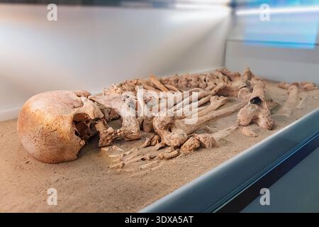 Altes menschliches Skelett in Sand, ausgestellt in einer Museumsausstellung. Archäologie, die historische Überreste und Anatomie aufdeckt Stockfoto
