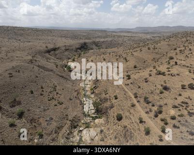 Aus der Vogelperspektive auf ein trockenes Flussbett, das sich durch die trockene Landschaft schlängelt, wo karge Vegetation die ockerfarbene Erde unter einem riesigen Himmel versprüht, Nanyuki, Laikipia Cou Stockfoto