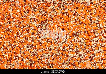 Mischung aus rohem Bio-Getreide. Linsen und Quinoa (weiß und rot). Leckere und gesunde Ernährung. Protein-Food-Konzept. Vegan und vegetarisch. Draufsicht, Cop Stockfoto