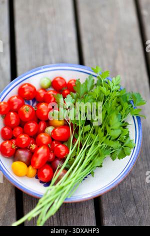Frischer Koriander und Kirschtomaten in einer Schüssel auf dem Tisch Stockfoto