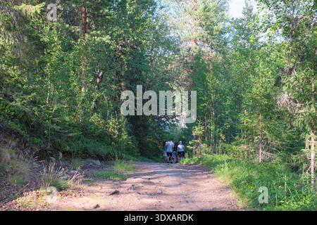 Kvikkjokk, Schweden - 21. Juli 2024: Ein Blick auf die abwechslungsreichen Wanderwege mit Holzstegen und Feldwegen auf dem Kungsleden bei Kvikkjokk in Stockfoto