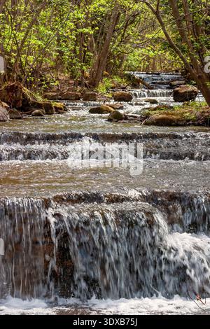 Waldbach Wasserfall, der über Felsen in einem üppigen Frühlingswald fällt Stockfoto