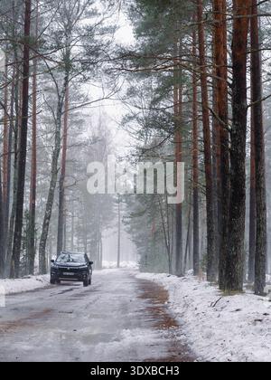 Suzuki S-Cross auf verschneiten Waldwegen im Nebel, Lettland Stockfoto