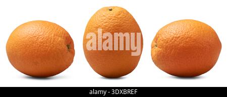 Satz von ganzen frischen Orangen isolierter weißer Hintergrund, lebendige orange Zitrusfrüchte mit strukturierter Schale, Seitenansicht mit weichen Schatten und verschiedenen Winkeln Stockfoto