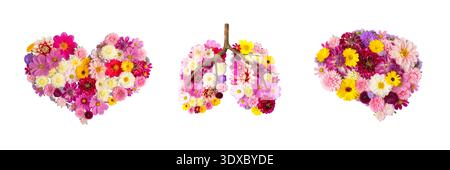 Bunte Blumenanordnung in Form menschlicher Lungen, isoliert auf weißem Hintergrund. Konzept der frischen Luft, der sauberen Umwelt, der menschlichen Gesundheit, Stockfoto