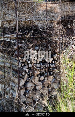 Bug-hotel Stockfoto