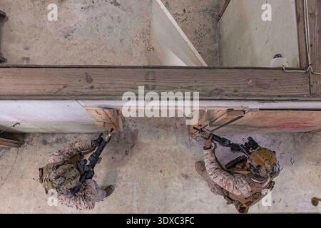US-Marines mit 3. Bataillon, 6. Marineregiment, 2. Marinedivision, Probenräumverfahren während des Expeditionary Operations Training Group (EOTG) Close Quarters Taktik-Kurses im Marine Corps Base Camp Lejeune, North Carolina, 13. Januar 2025. Die EOTG bildet II Marine Expeditionary Force-Einheiten aus, um sich auf bevorstehende Einsätze zur Unterstützung globaler Kombattantenkommandos vorzubereiten. Nur Redaktionelle Verwendung. Nicht zur Bestätigung. Quelle: U.S. Marine Corps / Lance CPL. Kyle Baskin. Stockfoto