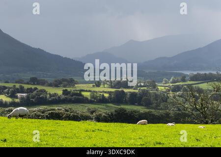 Regen und Sonne stehen über Bassenthwaite unter den Bergen des englischen Lake District im Kontrast. Stockfoto