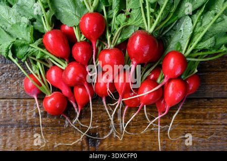 Frischer Rettich mit lebendigen Blättern auf rustikalem Holzhintergrund. Natürliches Gemüse für saubere Ernährung und saisonales Erntethema Stockfoto