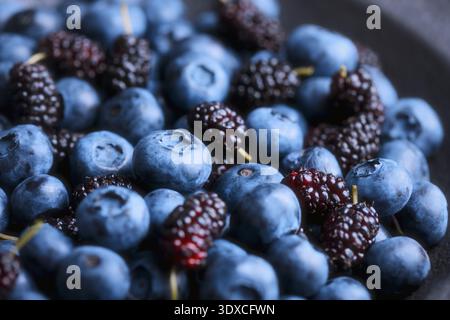 Nahaufnahme von Heidelbeeren gemischt mit Maulbeeren, frischen Reifen Beeren. Bio-Obst der Saison Stockfoto