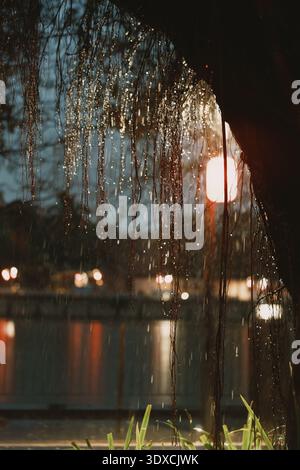In der Abenddämmerung in Tokio, Japan, fällt der Regen durch die Tränen der Weidenzweige in der Nähe eines mit Laternen beleuchteten Sees Stockfoto