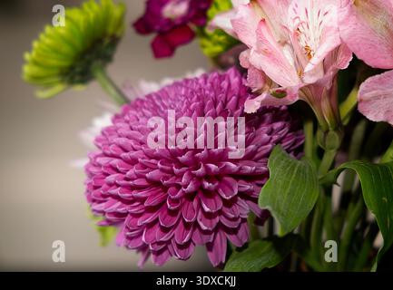 Ein florales Arrangement mit lila Chrysanthemen Stockfoto