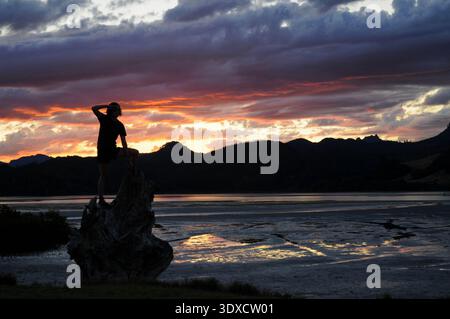 Silhouette einer Person, die auf Treibholz steht und den Sonnenuntergang über Pauanui Mündung, Pauanui, Coromandel Peninsula, Neuseeland beobachtet. Stockfoto