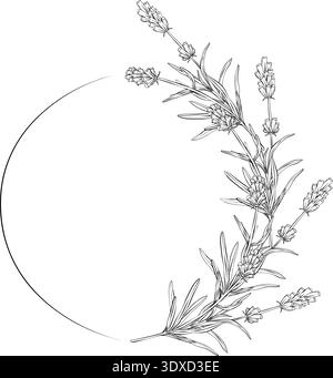Schwarz-weiße Strichgrafik-Illustration von Lavendelblüten, die einen runden Rahmen bilden. Detaillierte botanische Umrisszeichnung im eleganten Vektorstil für Stock Vektor