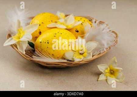 Ostereier und Narzissen im Korb mit Federn-Nahaufnahme Stockfoto