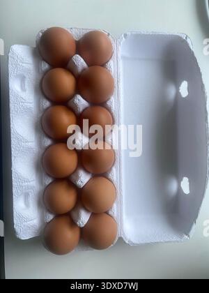 Farm Fresh Brown Eies in offenem Karton Stockfoto