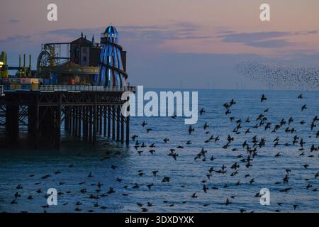 Brighton, East Sussex, Großbritannien. März 2026. Tausende von Starnen gehen während Sonnenuntergang entlang der Küste in den Flügel, während Besucher das wunderschöne Murmeln an klaren Tagen beobachten. Quelle: Eleventh Photography/Alamy Live News Stockfoto