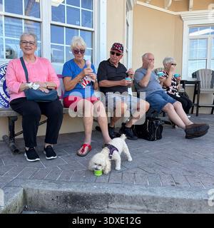 Ein Hund isst Eis aus einer Tasse, während 5 Erwachsene in Florida zusehen. Stockfoto
