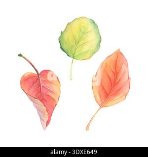 Herbstlaub. Einstellen. Gelb und rot. Aquarell. Stockfoto