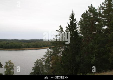 Ruhiger See umgeben von dichtem Wald unter bedecktem Himmel in Litauen, natürliche Landschaft mit Kiefern und Fichten. Stockfoto