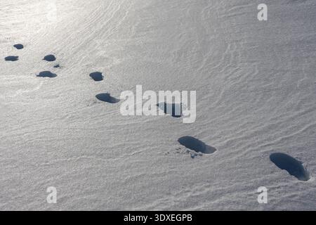 Menschliche Fußabdrücke überqueren unberührten tiefen Schnee unter hellem Winterlicht und erzeugen Schatten und Textur Stockfoto