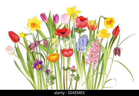 Buntes Blumenbeet im Garten im Frühling Stockfoto