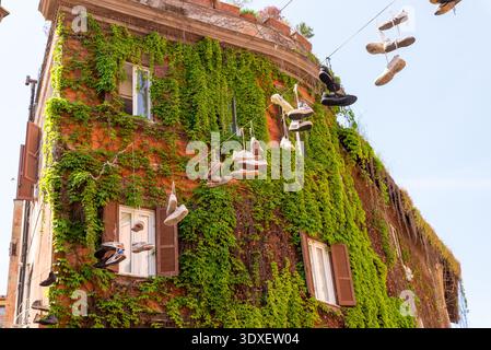 Rom, Italien – 21. April 2025: Blick auf die mit Efeu bedeckte Fassade mit aufgehängten Sneakern über der Straße im lebhaften Viertel Trastevere Stockfoto