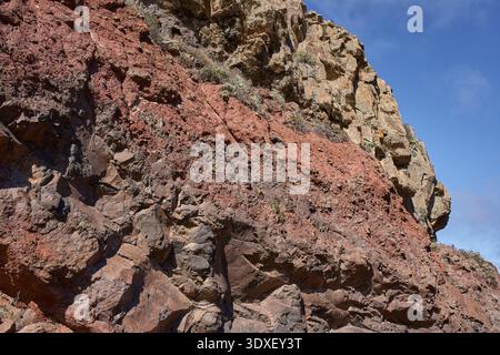 Nahaufnahme der dramatisch gestuften roten und ockerfarbenen vulkanischen Klippen mit kontrastierenden Basaltfelsen-Texturen und spärlicher endemischer Vegetation in der Anaga Re Stockfoto