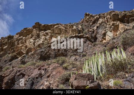 Nahaufnahme der dramatisch gestuften roten und ockerfarbenen vulkanischen Klippen mit kontrastierenden Basaltfelsen-Texturen und spärlicher endemischer Vegetation in der Anaga Re Stockfoto