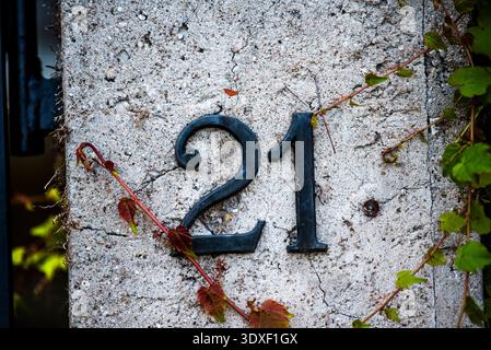Nummer 21 2 und 1 in Kupfer an der Wand mit Efeu Stockfoto