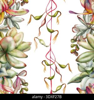 Gestreiftes nahtloses Muster von saftigen Pflanzen, Protea mit kompakten Rosetten, nachlaufende Ranken. Isolierte Illustration, handgezeichnet in Aquarell Stockfoto