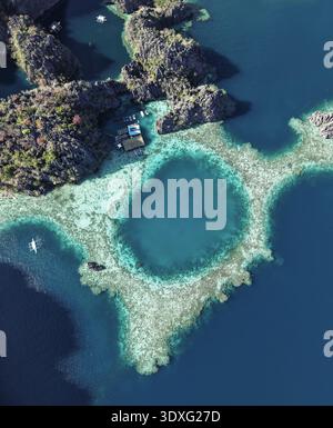 Aus der Vogelperspektive die pulsierende türkisfarbene Lagune umgeben von hellen Korallenriffen und dunklen felsigen Inseln, ein atemberaubender Kontrast von oben, Coron, Mimaro Stockfoto