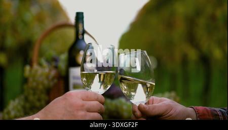 Ein Paar genießt während des Sonnenuntergangs einen Toast mit Weingläsern in einem Weinberg Stockfoto