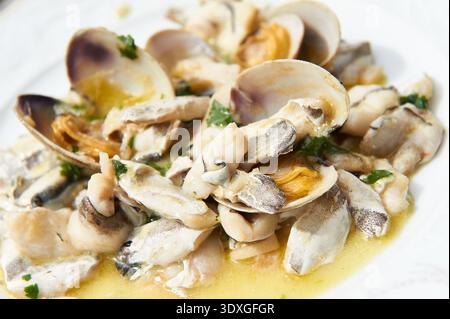 Köstliche Venusmuscheln und Kabeljaubacken, die in einer herzhaften Sauce mit Kräutern gekocht werden, serviert auf einem weißen Teller Stockfoto